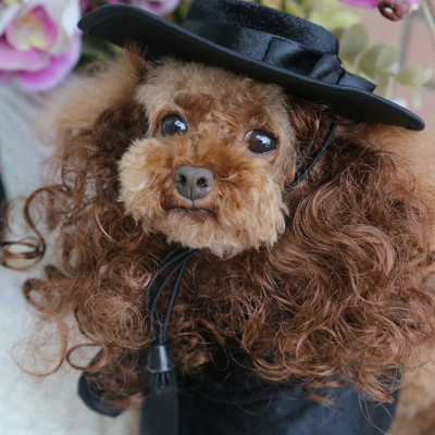 Kostým pre malého psa, pláštenka a parochňa, klobúk, sada, šteňa, pokrývka hlavy, plášť, cosplay oblečenie, doplnky na Halloween, vianočné oblečenie