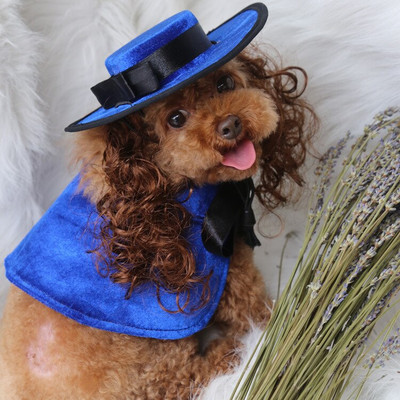 Kostým pre malého psa, pláštenka a parochňa, klobúk, sada, šteňa, pokrývka hlavy, plášť, cosplay oblečenie, doplnky na Halloween, vianočné oblečenie