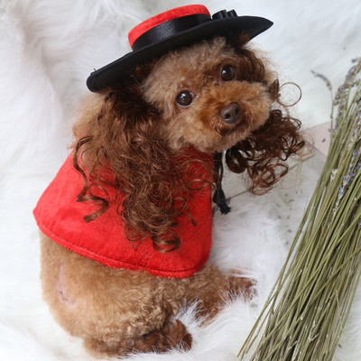 Kostým pre malého psa, pláštenka a parochňa, klobúk, sada, šteňa, pokrývka hlavy, plášť, cosplay oblečenie, doplnky na Halloween, vianočné oblečenie