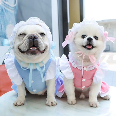 2022. aasta uued Kawaii neiu riided Lemmikloomakoera riided Kassiriided jalutusrihmaga koeraseelik väikestele koertele Lemmikloomatarbed​​​​​