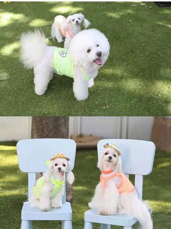 Χαριτωμένο slip φόρεμα Little Dog Ρούχα για κουτάβι καλοκαιρινό γιλέκο Λεπτό κατοικίδιο teddy γαλλικό μπουλντόγκ Pomeranian Breathable Dog ρούχα με δύο πόδια