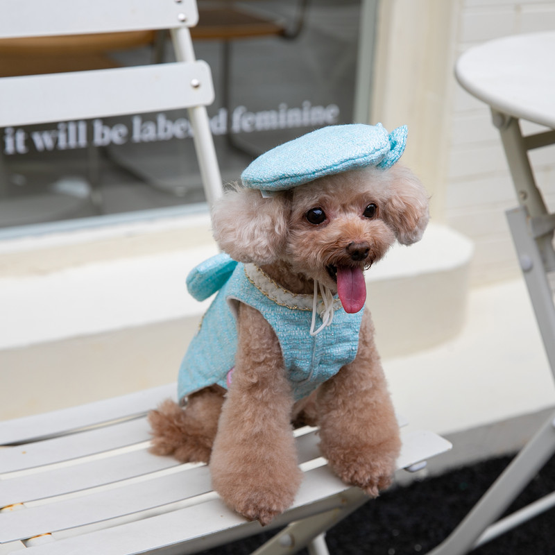 Zimné teplé oblečenie pre domáce zvieratá, sukňa v tvare A, vianočný sladký kabát pre domáce zvieratá, plyšové šaty, obleky, elegantné šaty pre mačky a psa s klobúkom, oblečenie pre plyšové mačky