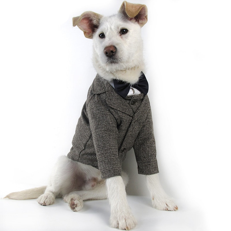 Lemmiklooma koera härrasmehe ülikond mantel pulmapidu lemmiklooma riided koera vest mantel Väike keskmine labradori prantsuse buldogi kassi koera kostüüm
