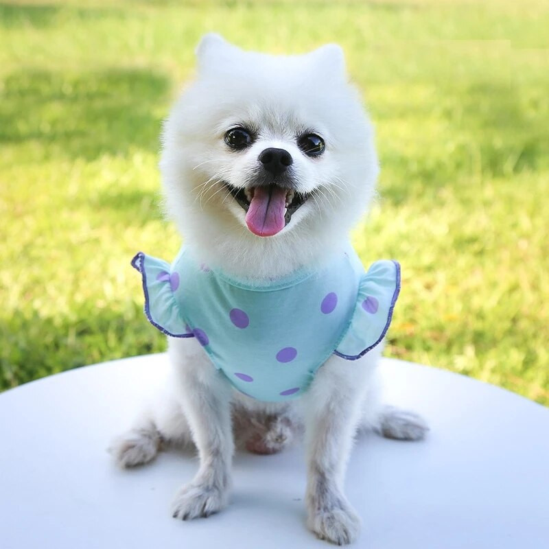 Yorkshire`i Pommeri puudli rõivad armsad täpid suvised koerariided kevadised koeravesti särk Kassi lemmiklooma riided koera kutsika kostüümile