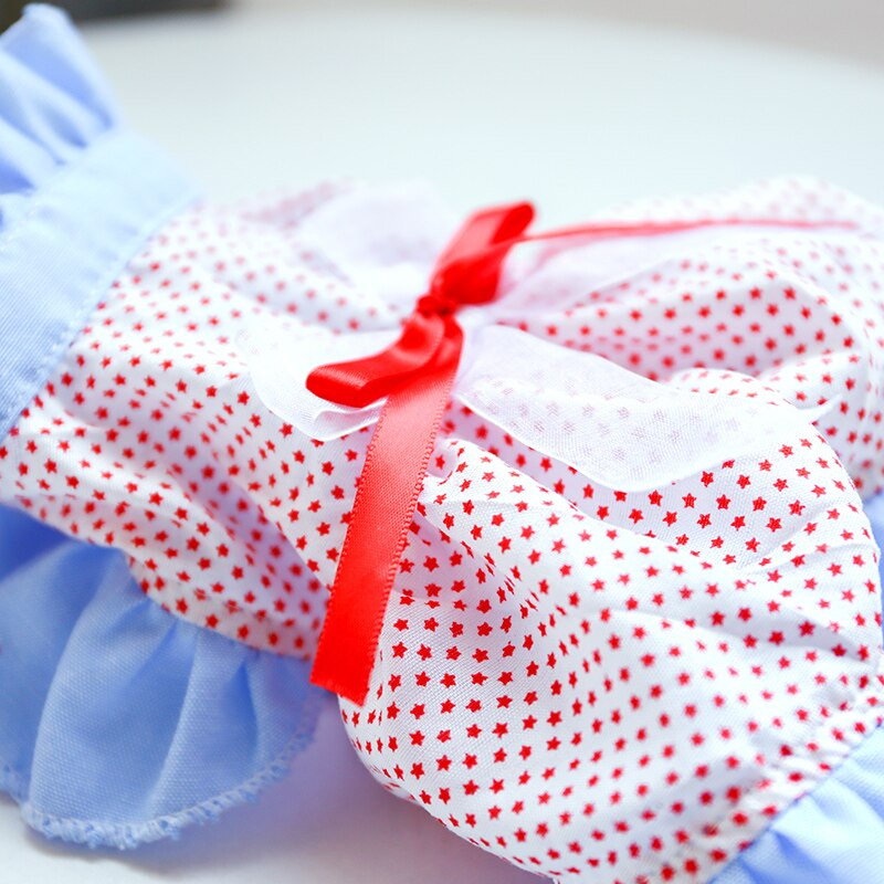 2021. aasta suvi uus kutsikas koer armas punane võrega vöörist koerte kleidid moerõivad Chihuahua puudli kevadseelik lemmikloomakoera riided