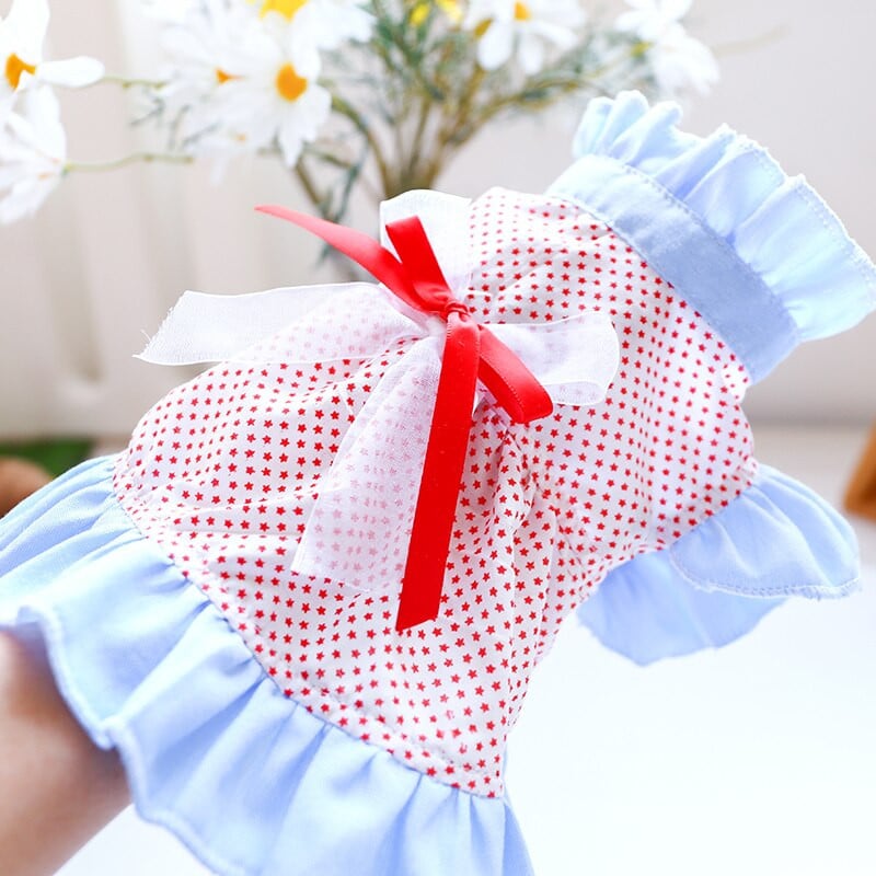 2021. aasta suvi uus kutsikas koer armas punane võrega vöörist koerte kleidid moerõivad Chihuahua puudli kevadseelik lemmikloomakoera riided