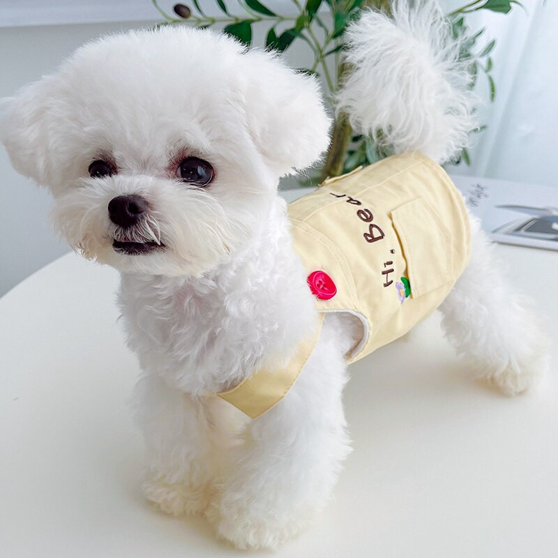 Roztomilá sukňa pre domáce zvieratá, oblečenie pre mačky a psov, sukňa pre šteniatka, čivava, yorkshirský teriér, zimná vesta pre domáce zvieratá, kostým, Shih Tzu, Bichon, pudel, oblečenie pre malých psov