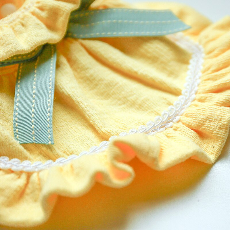 Χαριτωμένο παπιγιόν Πριγκίπισσα με φούστα βολάν Μικρή φορεσιά σκυλιών Φεστιβάλ Ρούχα μόδας για Teddy Siberian Pup Chihuahua