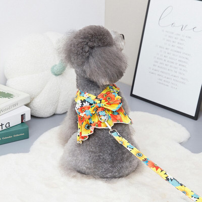 Odjeća za pse za male pse 2022. Proljeće Ljeto Princess Dress Odjeća Kućni ljubimac Puppy Fashion Bichon Teddy Kostim Uključuje povodac za pse