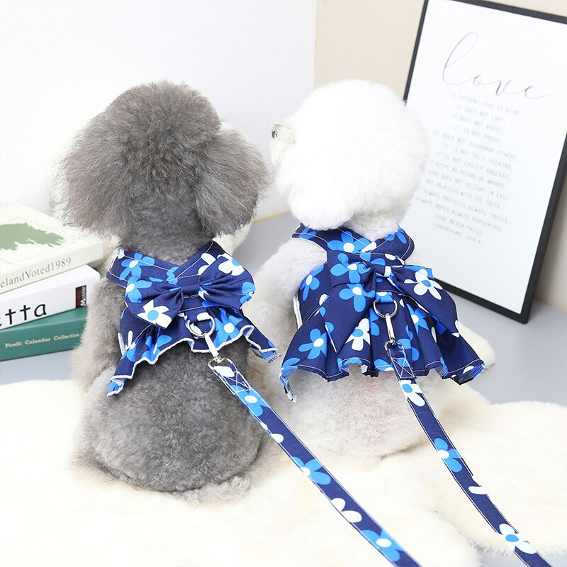 Odjeća za pse za male pse 2022. Proljeće Ljeto Princess Dress Odjeća Kućni ljubimac Puppy Fashion Bichon Teddy Kostim Uključuje povodac za pse