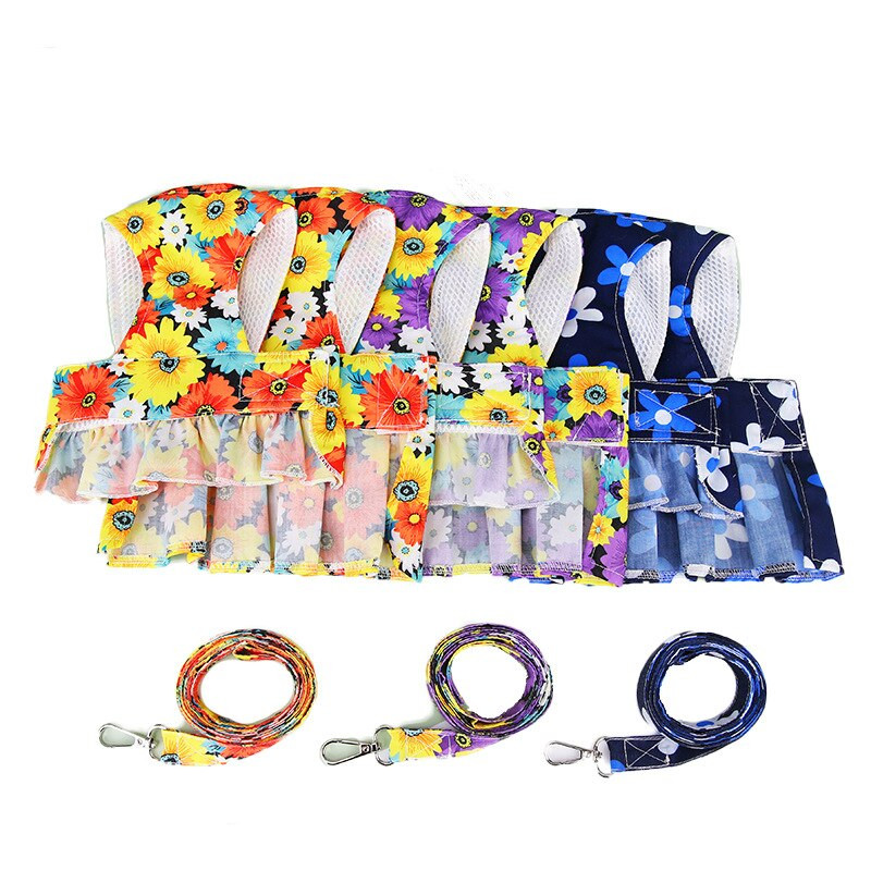 Odjeća za pse za male pse 2022. Proljeće Ljeto Princess Dress Odjeća Kućni ljubimac Puppy Fashion Bichon Teddy Kostim Uključuje povodac za pse