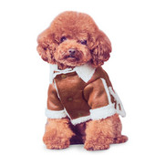 Ėriuko plaukai Šunų drabužiai Rudens žiemos drabužiai Naminių gyvūnėlių striukė Meškiukas Mažas Šuniukas Šuniukai Naminių gyvūnų reikmenys Naminiai gyvūnai Drabužiai Striukė Kailis