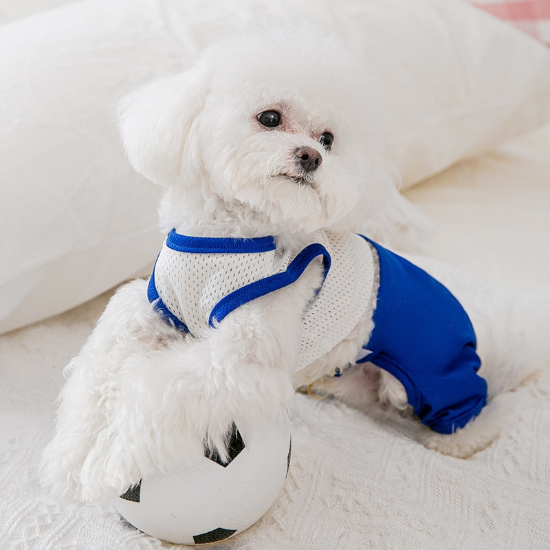 Jarné a letné sieťované dresy pre domáce zvieratá, rozdelené, ležérne oblečenie pre psov, premenené na športovú futbalovú vestu, tenké štvornohé športové oblečenie pre domáce zvieratá