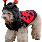 Oblečenie pre domáce zvieratá Mäkké kreslené pohodlné vtipné osobnosti udržiavajú teplé polyesterové oblečenie pre psov na Halloween párty