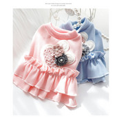 Naminių gyvūnėlių vasaros šunų sijonas Miela šunų suknelė Vestuvinė suknelė Sijonas katės princesės suknelė šuniukui Eddy Bichon pudelio Pomeranijos drabužiai