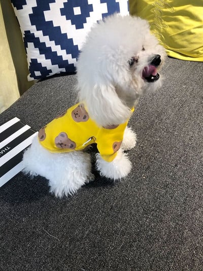 DUOMASUMI Roztomilé oblečenie pre psov pre malých psov, oblečenie pre pudelov, bradáčov, pomeranianov, corgi, oblečenie pre šteniatka, oblečenie pre francúzskych buldočkov