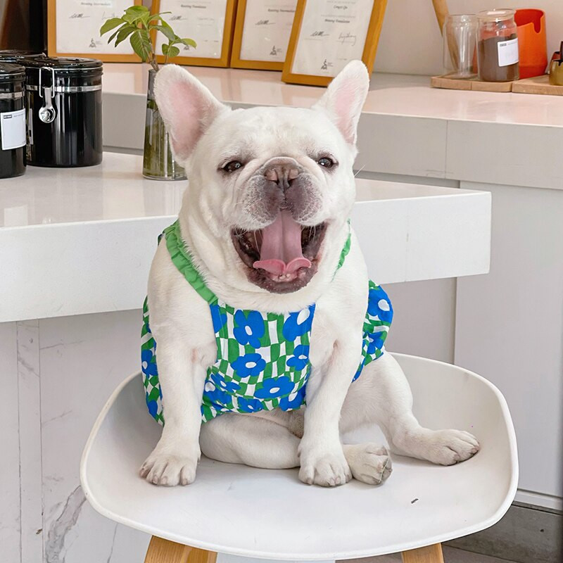 MPK Letné šaty pre psov, jarné a letné oblečenie pre domáce zvieratá s kvetinovým vzorom, malý záves, priedušné