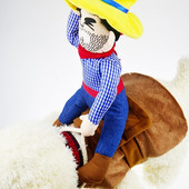 Pas za kućne ljubimce Odjeća za Noć vještica Psi koji drže nož Božićni kostim za Noć vještica Smiješni kućni ljubimac Mačka za zabavu Cosplay odjeća Dodaci za tkanine