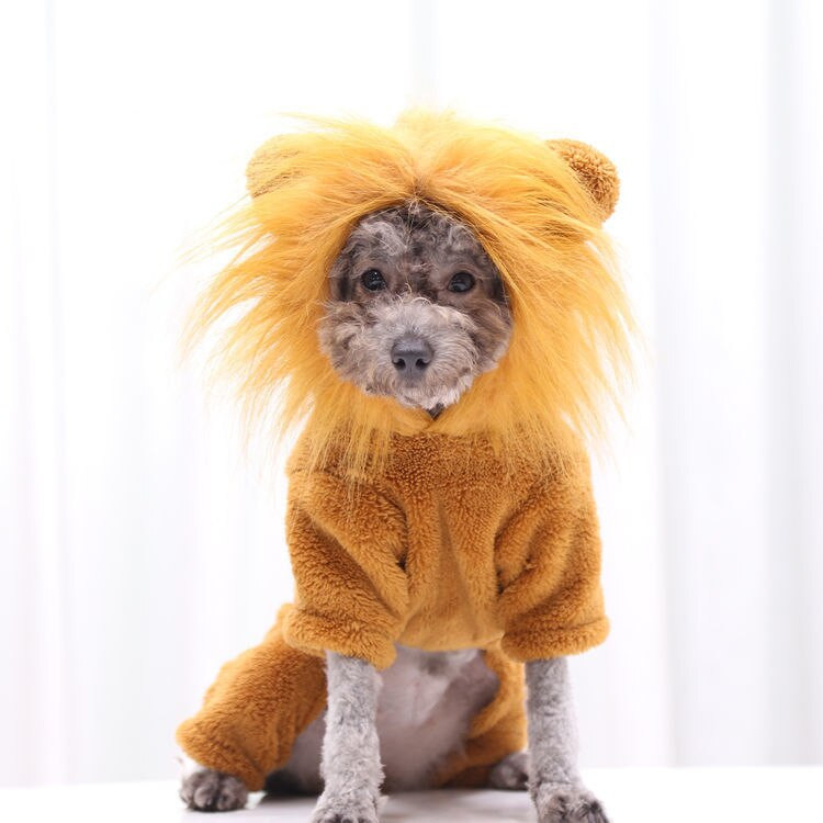 Costum ținută de leu pentru câine de companie, haine amuzante de Halloween pentru animale de companie pentru petrecere pentru câini de talie mică, lână de coral, haine pentru pisici, leopard, zebră