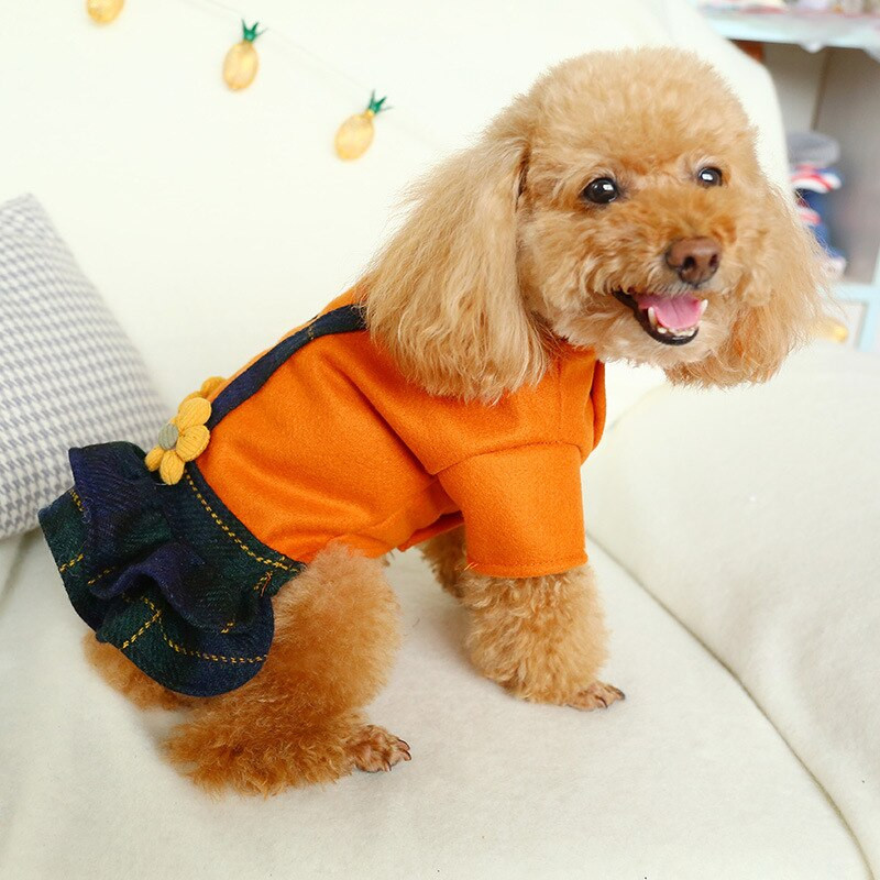 Oblečenie pre domáce zvieratá, psy a mačky, nové oblečenie pre medvedíkov, ktoré udrží teplo na jeseň a zimu, vlnená sukňa s karamelovým macchiato, malé a stredné oblečenie pre domáce zvieratá.