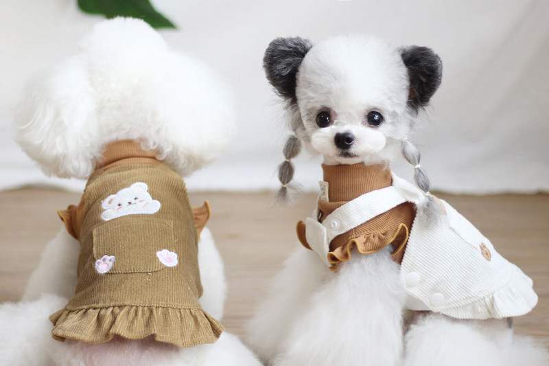 Fusta cu bretele pentru urs haine pentru pisici de companie toamna primăvară mâneci zburătoare din velur cu spate rochie minunată prințesă cu bretele câini mici fete