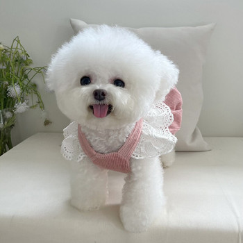 Φόρεμα με δαντέλα για σκύλους χειμώνα Γάτα Chihuahua Doggy Pet Clothing Φούστα Yorkie Pomeranian Shih Tzu Maltese Poodle Bichon Ρούχα για κατοικίδια XXS