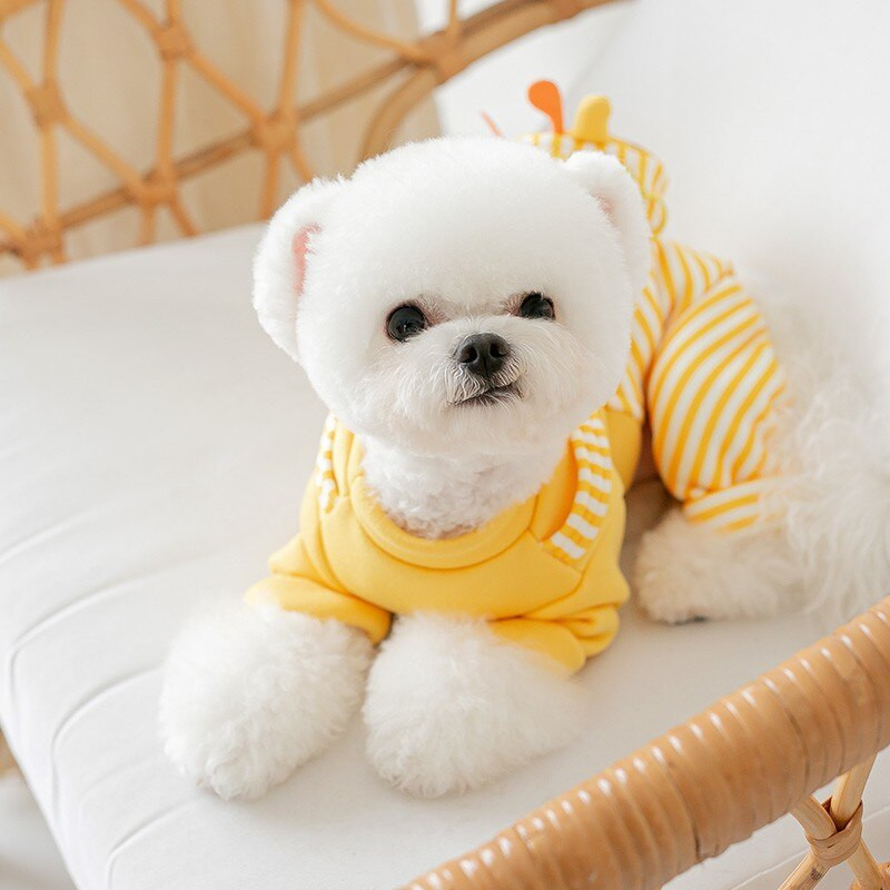Uus sügistalvine naljakas lemmikloomakostüüm Lemmikloomakostüüm, erinevas suuruses koerakostüüm mängukaru Mood koeratarvikud Lemmikloomatarbed