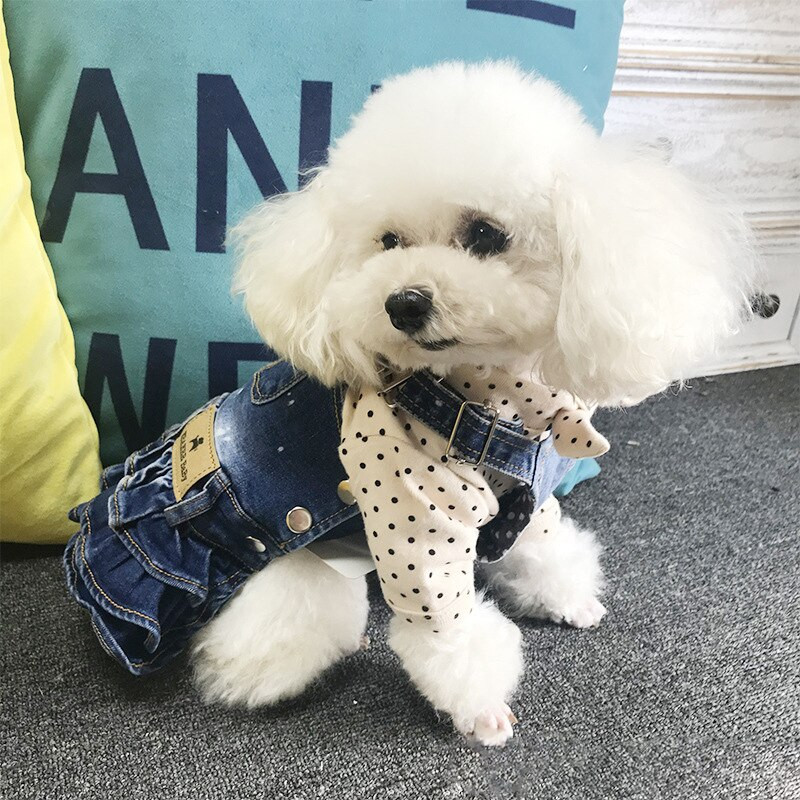 2022 m. Nauji šunų drabužiai Džinsiniai džinsai Suknelė Kombinezonas Paltas Striukė berniukui Mergaitei šuniui Apranga Pora Naminio gyvūno apranga šuniuko kostiumo kombinezonai