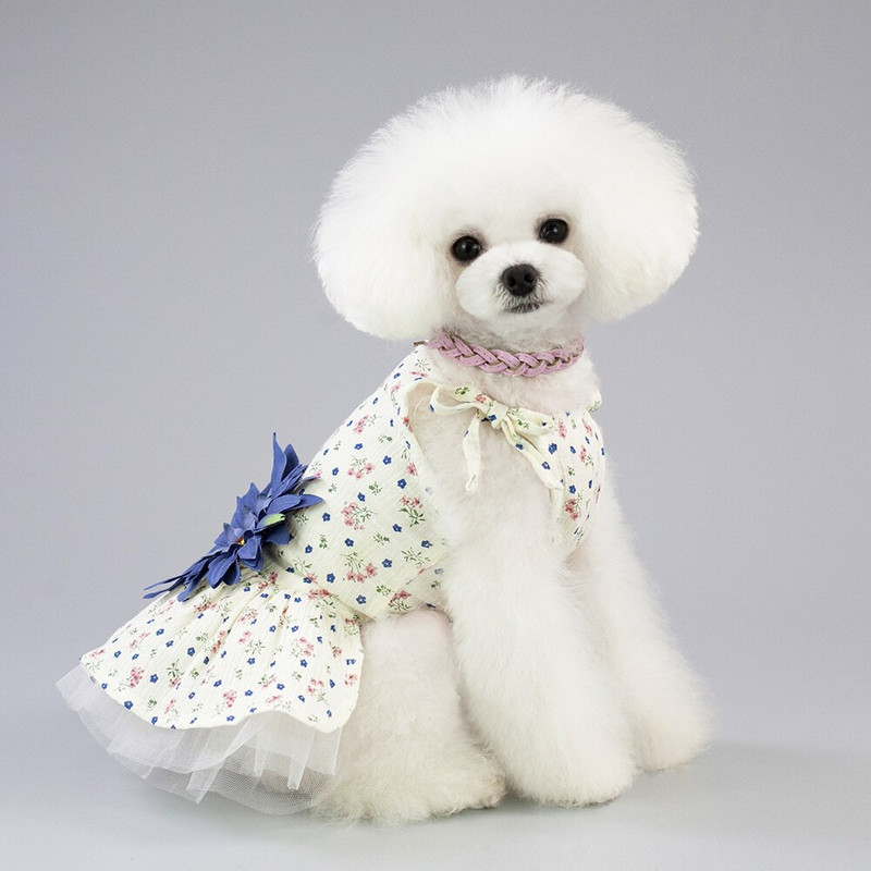 Apranga gyvūnams kačių šunų drabužiai meškiukų rūbai plonos suknelės Daisy pavasarį ir vasarą suknelė