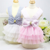 Modna odjeća za kućne ljubimce Baletna suknja za pse Kućne ljubimce Odjeća za štene Mačka Lacs Tutu Čipkana haljina na pruge Odjeća za čivave