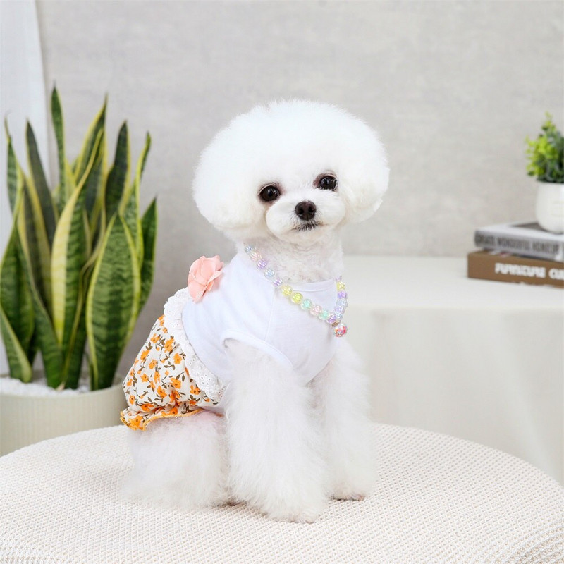 Rochie prințesă câine pisică model floral animal de companie cățeluș fustă zână haine de primăvară/vară ținută 5 mărimi