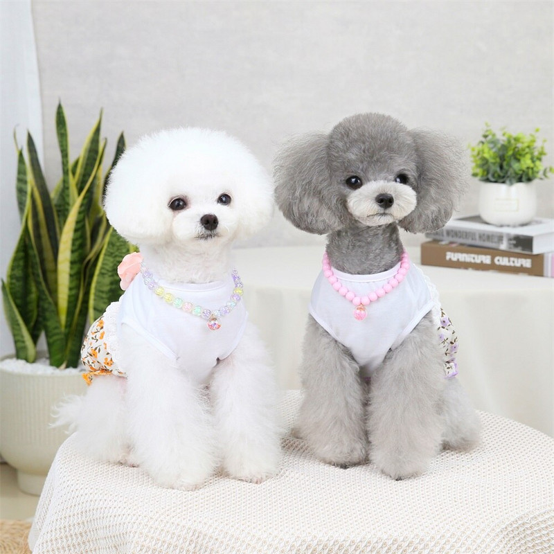 Rochie prințesă câine pisică model floral animal de companie cățeluș fustă zână haine de primăvară/vară ținută 5 mărimi