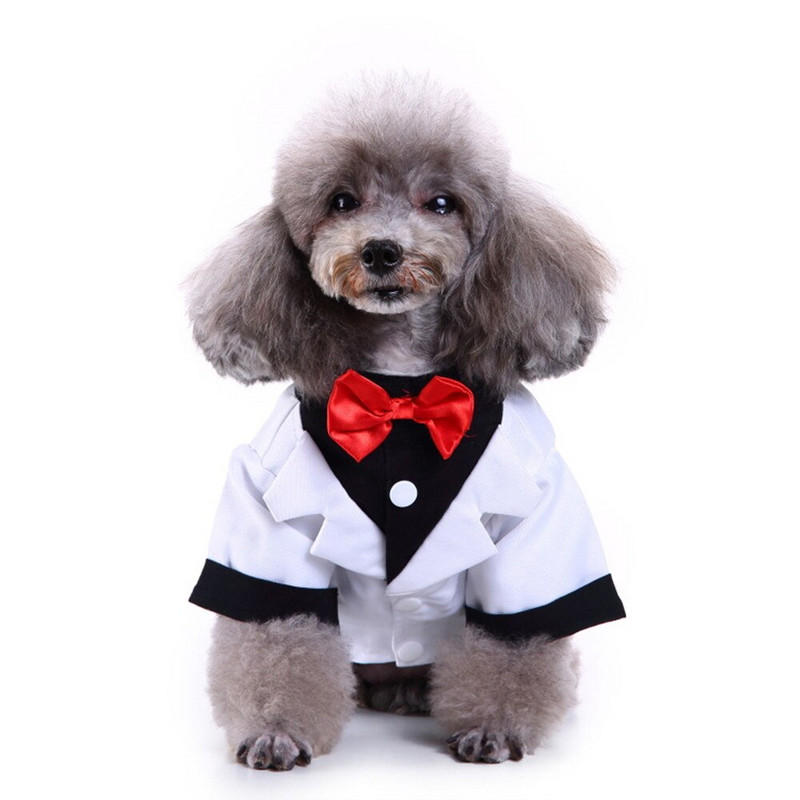 Pánske oblečenie pre psov, svadobný oblek, formálna košeľa pre malých psov, motýlik, smoking, mačací outfit, halloweensky vianočný kostým pre psa 2022