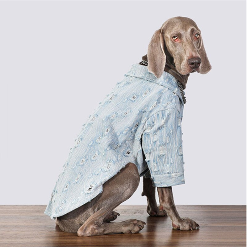 Oblečenie pre veľkých psov Jarná a jesenná bunda pre psov Džínsový kabát pre psov Zlatý retriever Labrador Doberman Oblečenie pre psov Doplnky pre psov