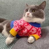 Spot Cat Imbracaminte En-gros Câine Teddy Than Bear Pulover Pomeranian Drăguț Toamnă Și Iarnă Tricoturi calde de marca Tide