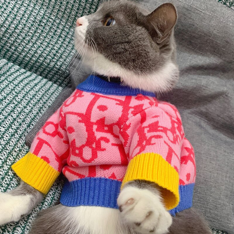 Spot Cat Imbracaminte En-gros Câine Teddy Than Bear Pulover Pomeranian Drăguț Toamnă Și Iarnă Tricoturi calde de marca Tide