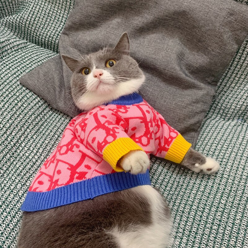 Spot Cat Imbracaminte En-gros Câine Teddy Than Bear Pulover Pomeranian Drăguț Toamnă Și Iarnă Tricoturi calde de marca Tide