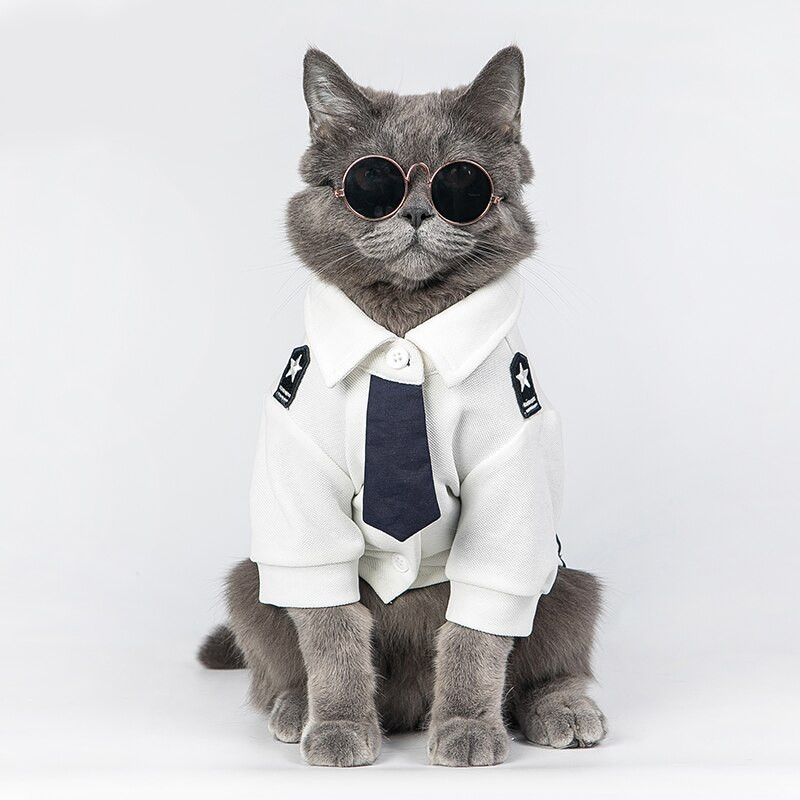 Oblečenie pre psov, oblek, festivalový letný kostým, humor, domáce zviera, vtipné, pre ozdobné, konské, halloweenske, prezlečenie, fantasy, figurína, cosplay