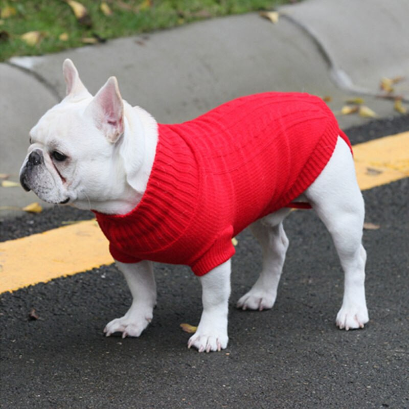 Animale de companie Cățeluși Câini Haine Pisici Pulover colorat Jachetă Paltoane pentru casă Iarnă Călduță Animale de companie Jachete Accesorii pentru decorare