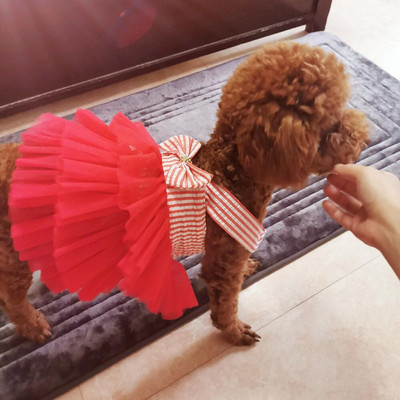 Φόρεμα με φούστα με φιόγκο με κουτάβι σκύλος κατοικίδιων ζώων Κοστούμι τσιουάουα για σκύλους πριγκίπισσας Ενδύματα χαριτωμένα καλοκαιρινά ρούχα για σκύλους κορίτσια Γυναικεία ρούχα