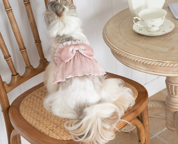 Μαλακό χειμωνιάτικο φούστα σκύλου Ρούχα για κουτάβια γάτας Φόρεμα για κουτάβια Chihuahua Yorkshire Pomeranian Shih Tzu Μαλτέζικο Poodle Ρούχα για σκύλους