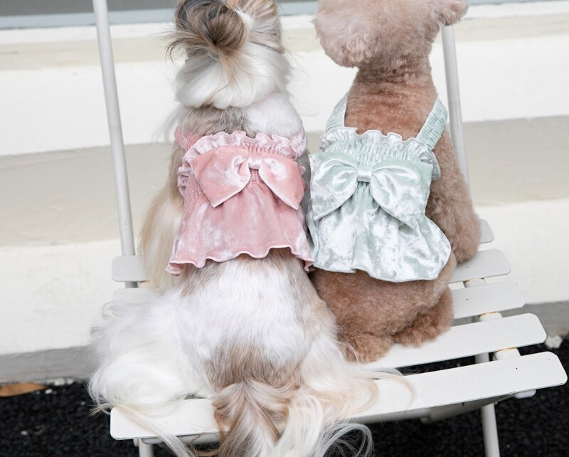 Fusta moale de iarnă pentru câini Haine pentru pisică Rochie pentru cățeluș Chihuahua Yorkshire Pomeranian Shih Tzu Caniche maltez Îmbrăcăminte pentru animale de companie Costume pentru câini