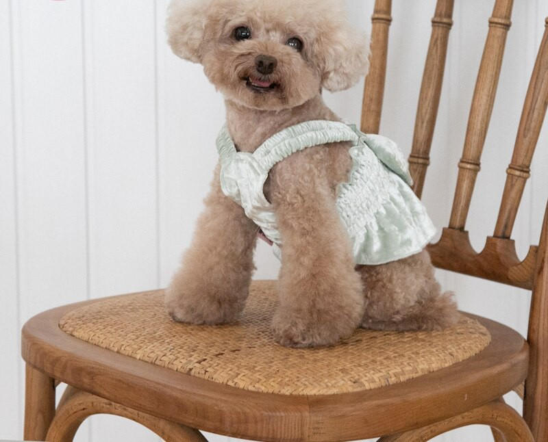 Fusta moale de iarnă pentru câini Haine pentru pisică Rochie pentru cățeluș Chihuahua Yorkshire Pomeranian Shih Tzu Caniche maltez Îmbrăcăminte pentru animale de companie Costume pentru câini