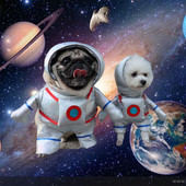 Pretty Cats Dogs Astronomy Space Outfit Protect Skin Pet Pijamas Cosplay Astronomy Dog Jumpsuit Сладко облекло за парти