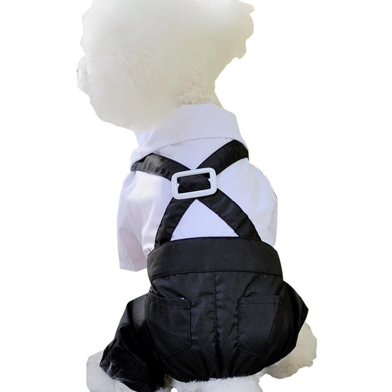 Pet Dog Fashion stil occidental Bumbac moale haine solide Toamna iarna Seturi pentru caini mici DC770