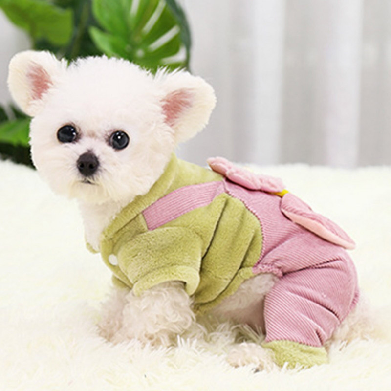 Oblečenie pre domáce zvieratá, jeseň/zima, teplá mikina pre šteniatko, mačiatko, roztomilý kreslený pes, mačka, sveter s taškou cez rameno