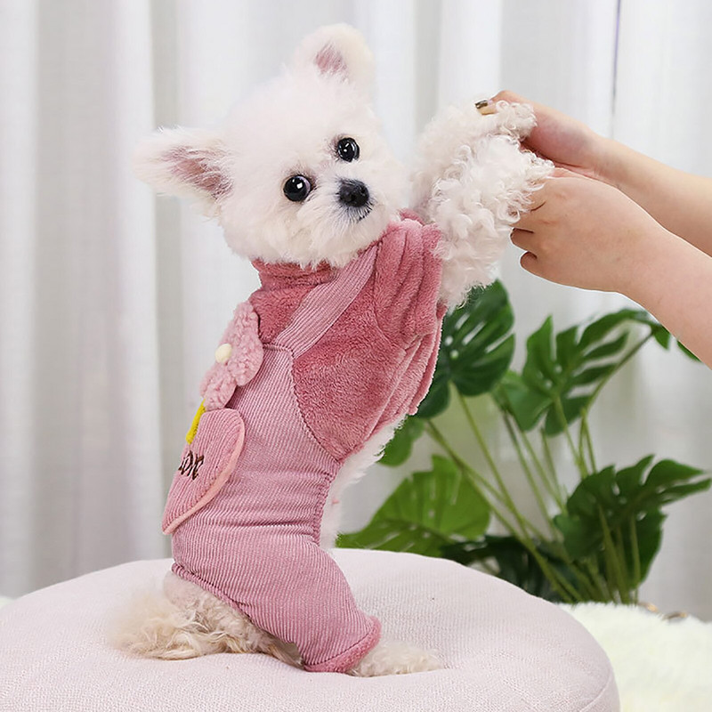 Oblečenie pre domáce zvieratá, jeseň/zima, teplá mikina pre šteniatko, mačiatko, roztomilý kreslený pes, mačka, sveter s taškou cez rameno