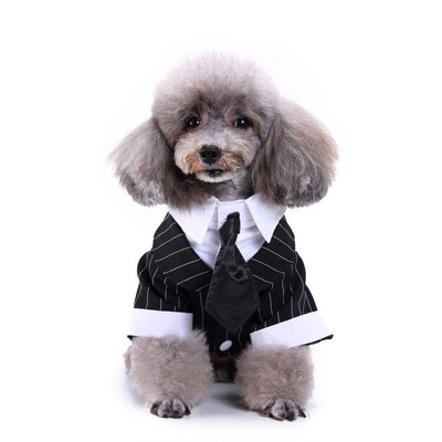 pulmakleit lemmiklooma koer riided ülikond Koer Lemmiklooma ülikond Cachorro Mascotas ülikond Triibuline smoking kikilips Pulmasärk Härrasmehe kostüüm