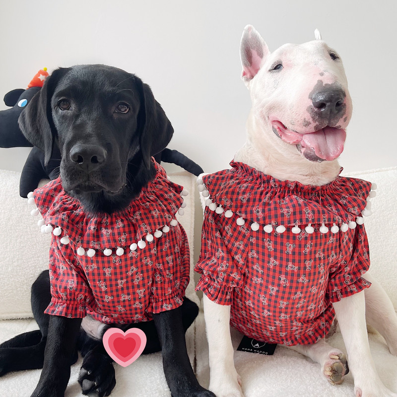 MPK uus seeria Koerte ruuduline nukuriided Armsad riided Printsessi stiil