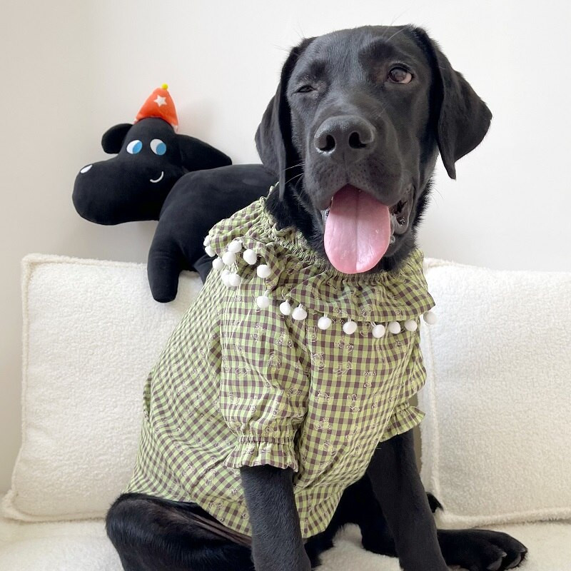 MPK uus seeria Koerte ruuduline nukuriided Armsad riided Printsessi stiil